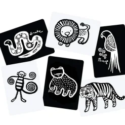Memory Games|Flash Cards-Wee Gallery Art Cards