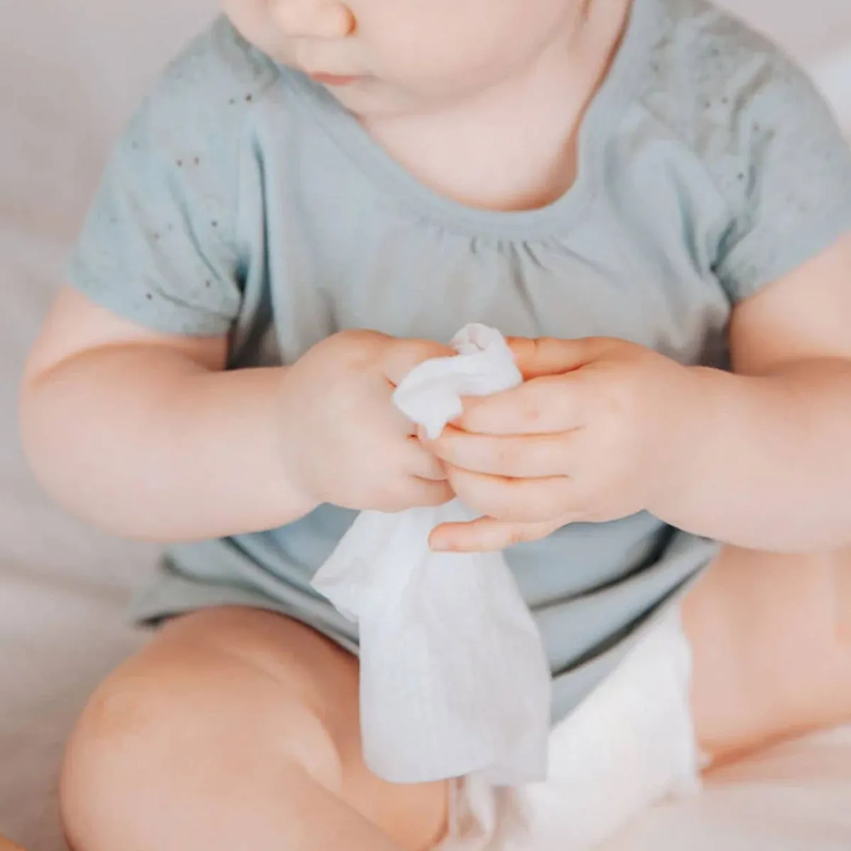 Wellness Balms + Wipes|Baby Wipes-Terra Baby Wipes (70 Pack)