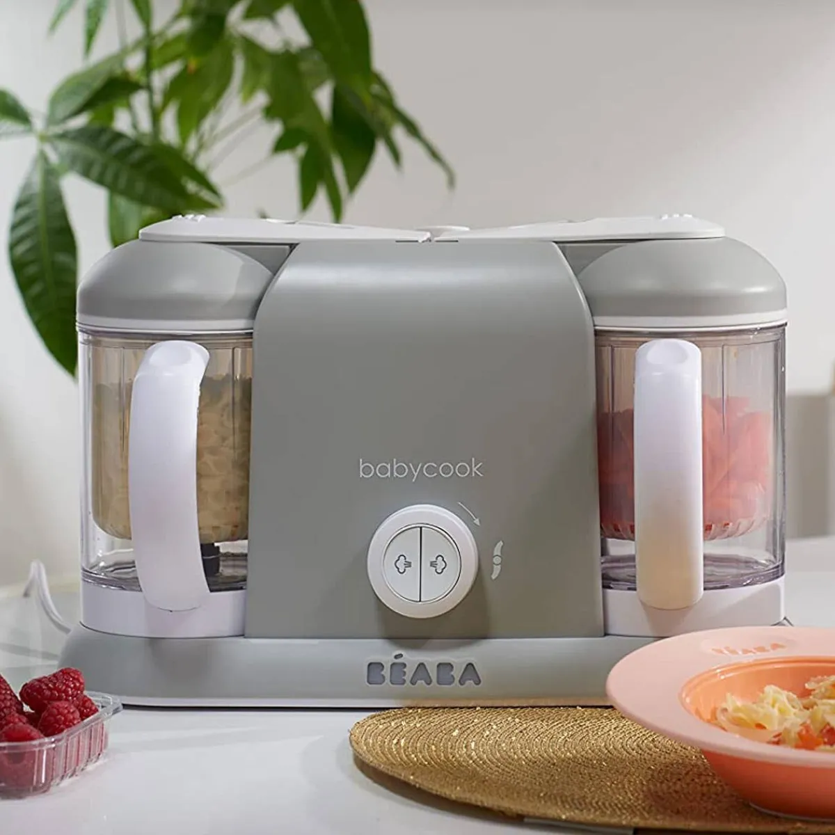 Baby Food Prep + Storage-Beaba Babycook Duo
