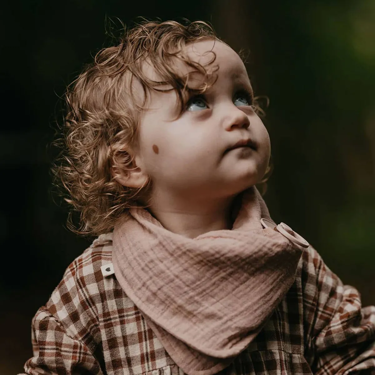 Bibs + Burps-Bibs Bandana Bib