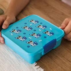 Kids Lunch Bags & Boxes|Kids Bento Boxes-MontiiCo Bento Three