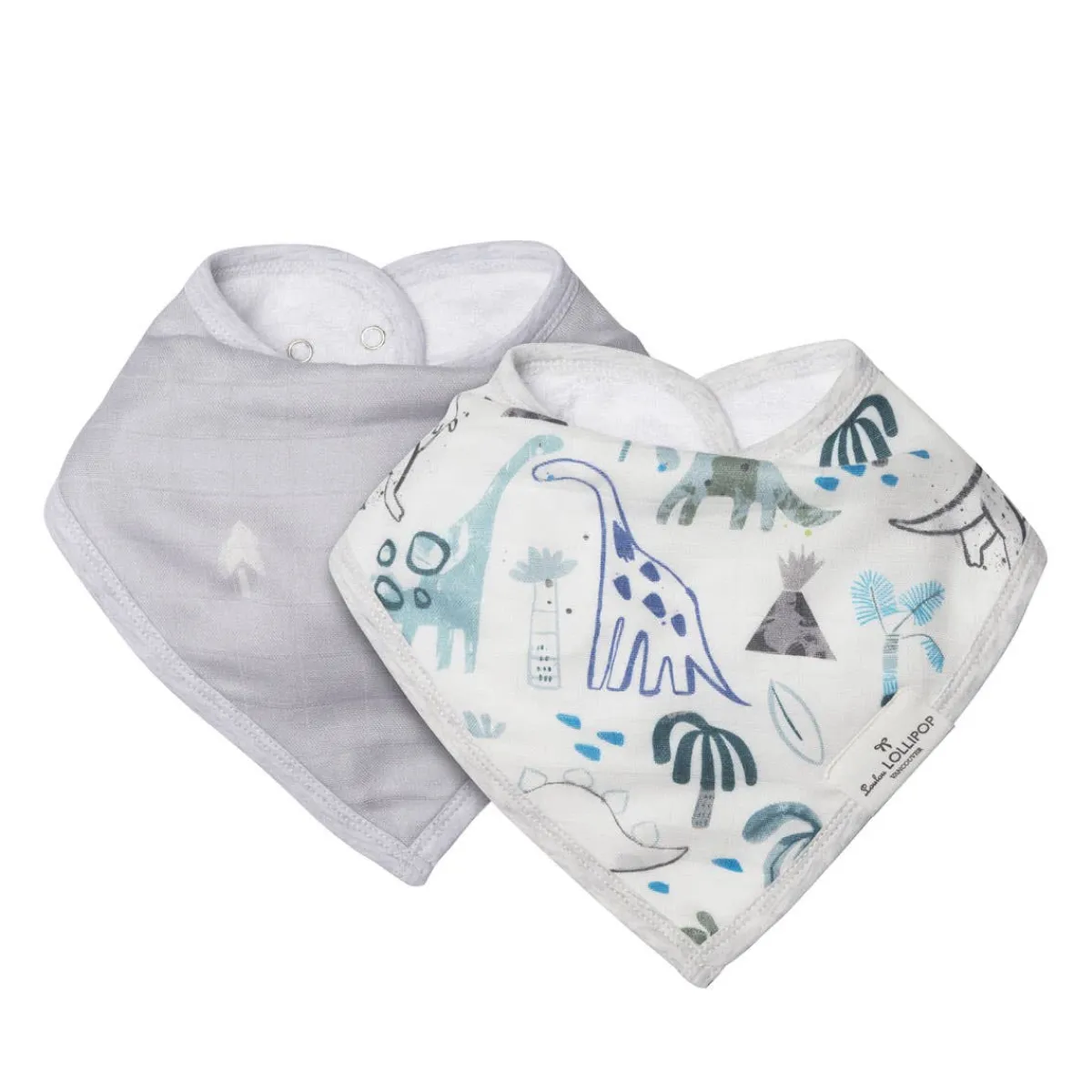 Bibs + Burps-LouLou Lollipop Bib Set