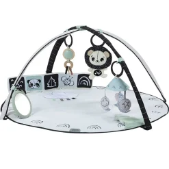 Activity Gyms-Tiny Love Black & White Decor Classic Gymini