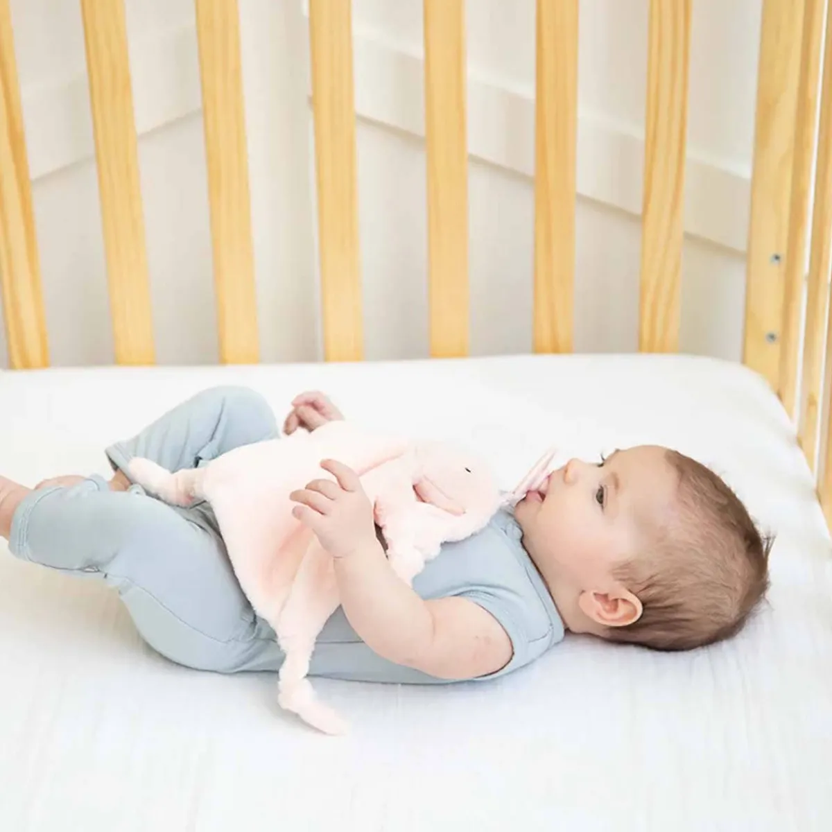 Loveys|Pacifiers + Clips-Bella Tunno Bubbi Buddy
