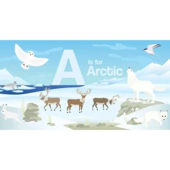Board Books-Harper Collins Canada ABC Board Book