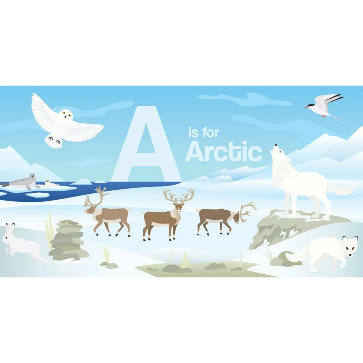 Board Books-Harper Collins Canada ABC Board Book