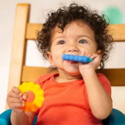 Teethers|Pacifiers + Clips-Bright Starts Chance of Smiles Teethers