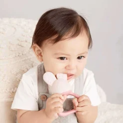 Teethers|Pacifiers + Clips-B.Box Chill + Fill Teether
