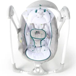 Swings-Ingenuity ConvertMe Swing 2-Seat (Nash)