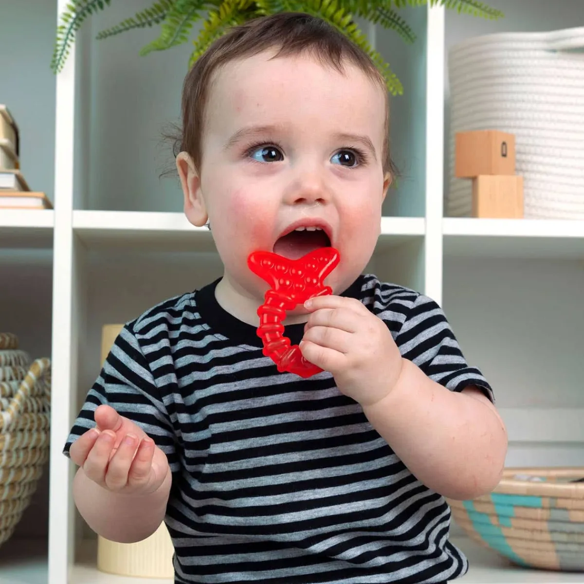 Teethers|Pacifiers + Clips-Baby Einstein Cool Critters Teether Toy Set