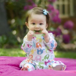 Teethers|Pacifiers + Clips-Green Sprouts Cool Fruit Teether