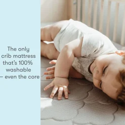 Crib Mattresses-Newton Baby Crib Mattress