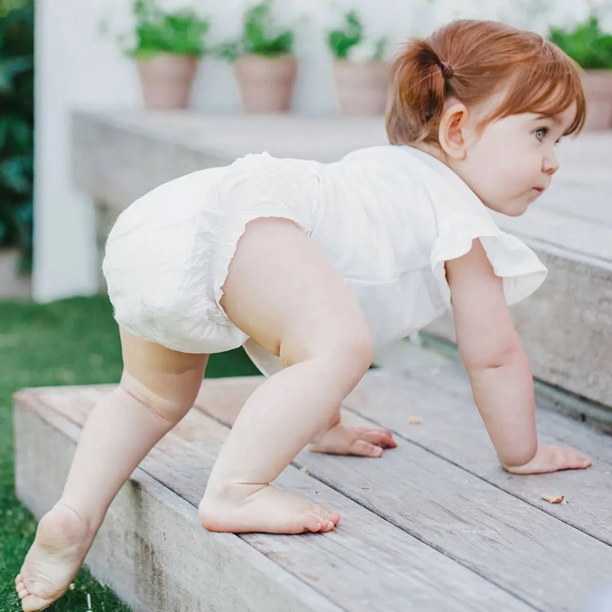 Disposable Diapers-Terra Diapers Size 2 (Infant)