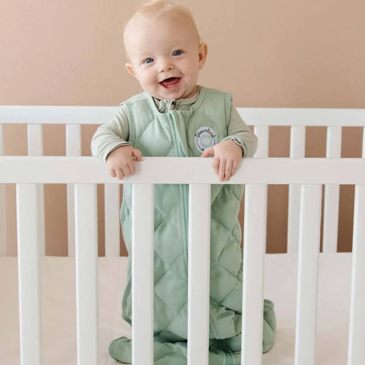 Sleep Sacks + Wraps-Dreamland Baby Dream Weighted Sleep Sack
