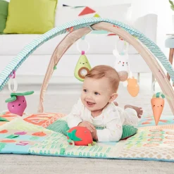 Activity Gyms-Skip Hop Farmstand Grow & Play Activity Gym