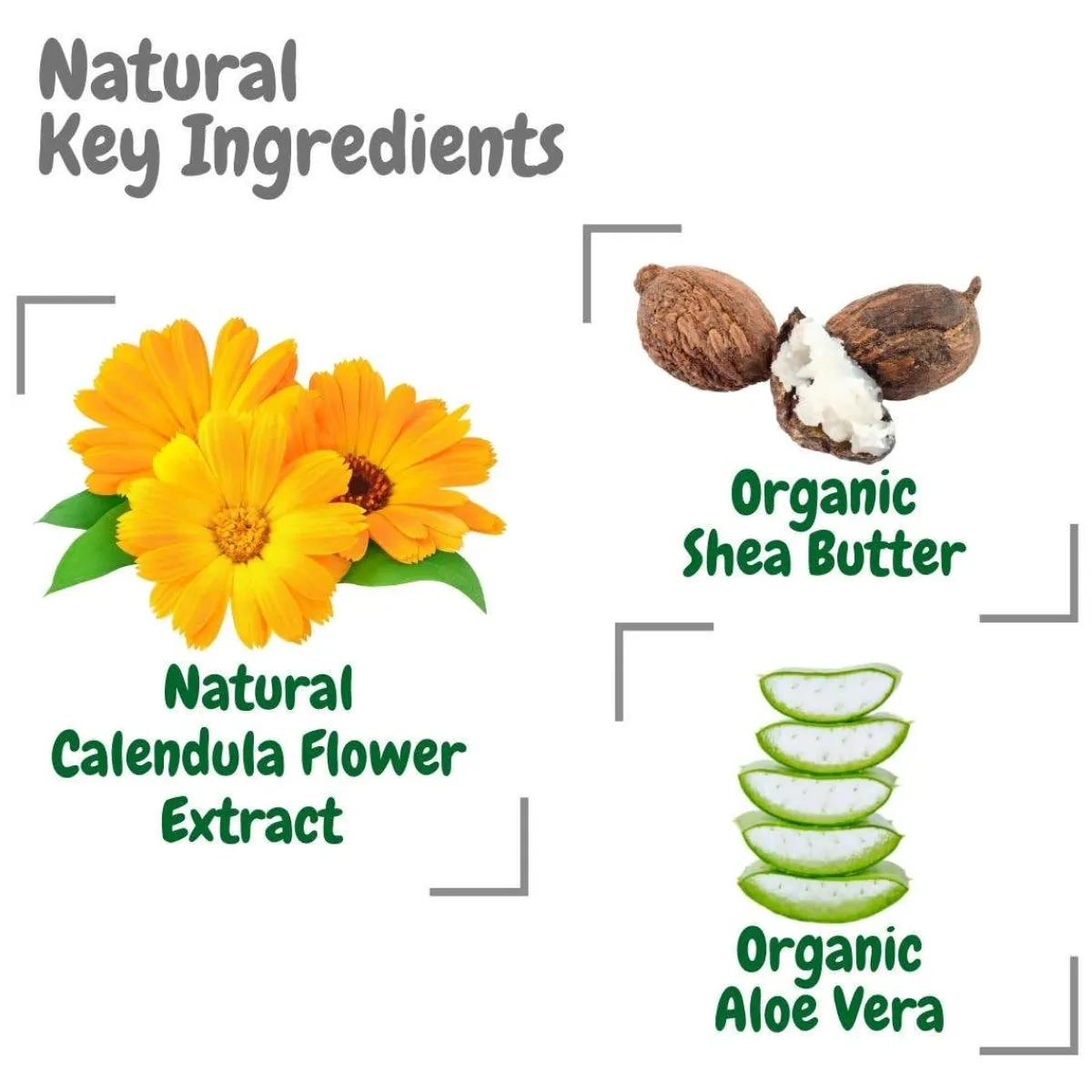 Kids Lotion|Infant Moisturizer-Aleva Naturals First Rescue Calendula Skin Cream (50 mL)