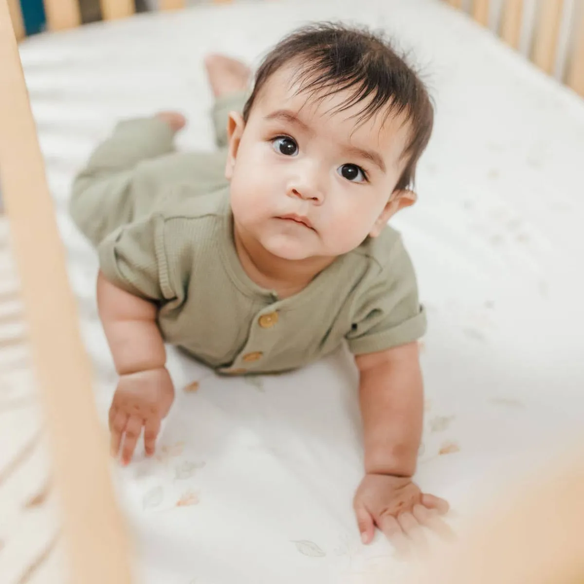 Crib Fitted Sheets-Crane Baby Fitted Crib Sheet