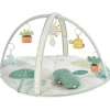 Activity Gyms-Skip Hop Garden Oasis Activity Gym