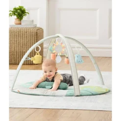 Activity Gyms-Skip Hop Garden Oasis Activity Gym