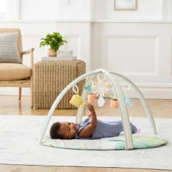 Activity Gyms-Skip Hop Garden Oasis Activity Gym