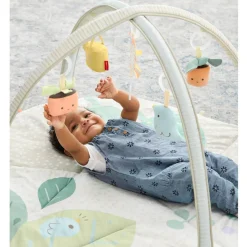 Activity Gyms-Skip Hop Garden Oasis Activity Gym