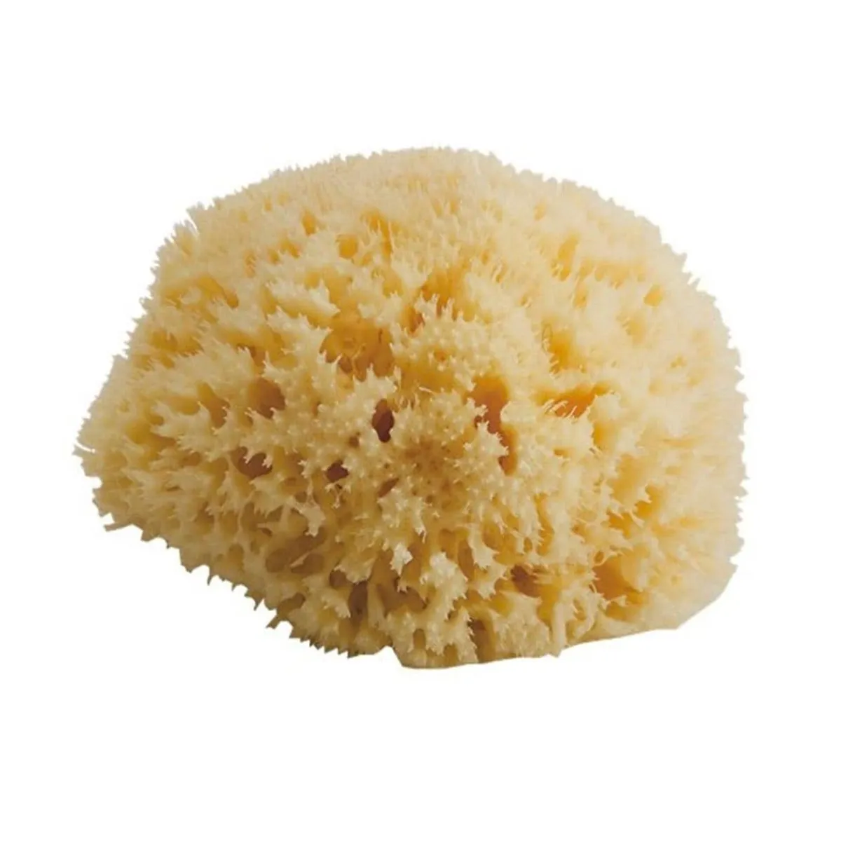 Towels + Cloths-Bellini Honeycomb Sea Sponge (Medium)