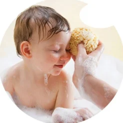 Towels + Cloths-Bellini Honeycomb Sea Sponge (Medium)