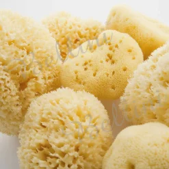 Towels + Cloths-Bellini Honeycomb Sea Sponge (Medium)