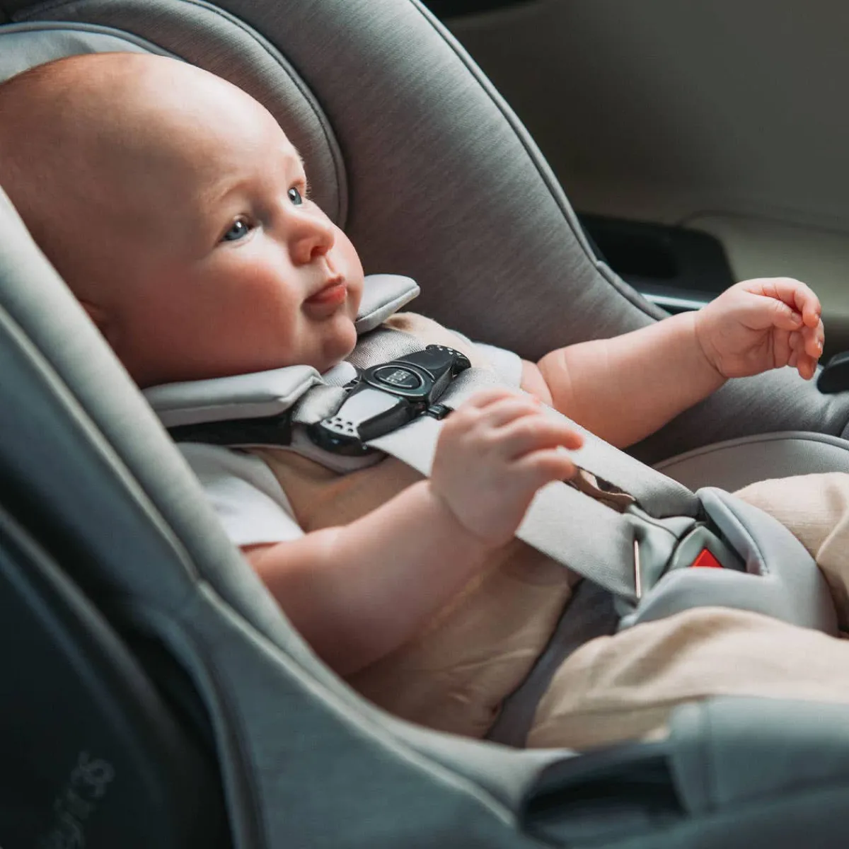 Car Seat Bases|Nfant Car Seats-Chicco KeyFit 35 ClearTex Infant Car Seat Shadow