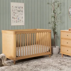 Convertible Cribs-Namesake Marin with Cane 3-in-1 Crib