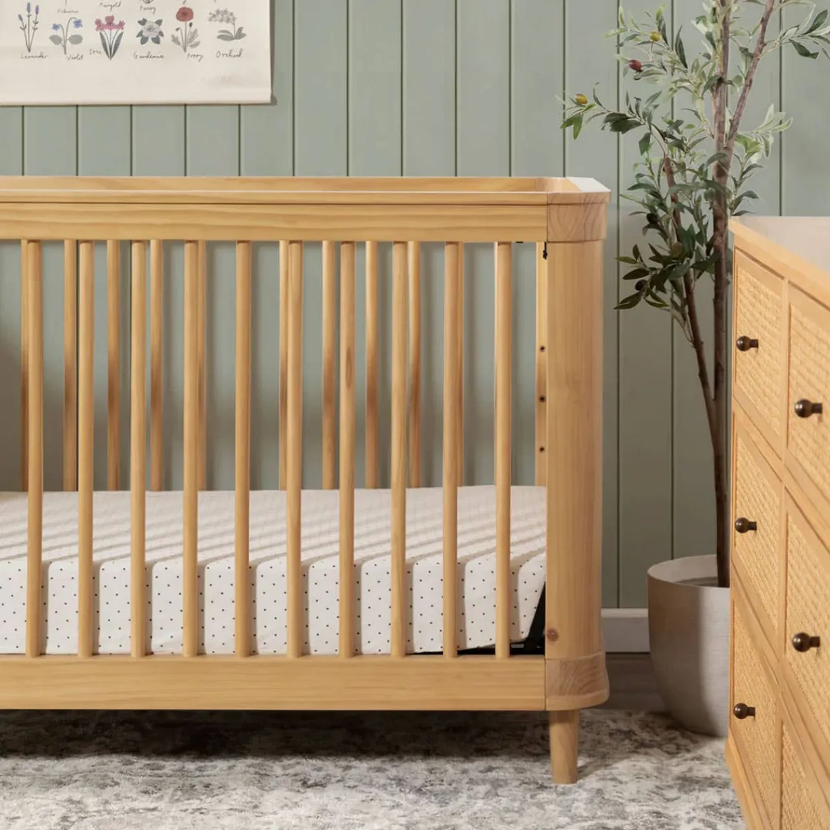 Convertible Cribs-Namesake Marin with Cane 3-in-1 Crib
