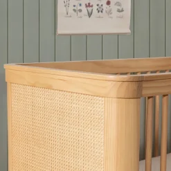 Convertible Cribs-Namesake Marin with Cane 3-in-1 Crib