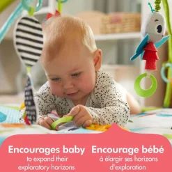 Activity Gyms-Tiny Love Meadow Days Sunny Gymini