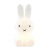 Lighting-Mr Maria Miffy Star Light