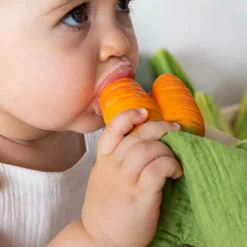 Teethers|Pacifiers + Clips-Oli & Carol Mini Doudou Teether