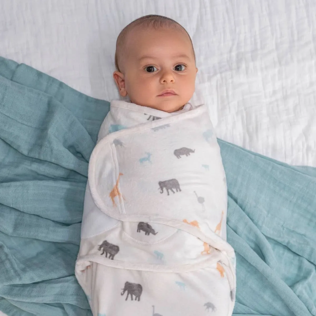 Blankets|Sleep Sacks + Wraps-aden + anais Minky Easy Swaddle Wrap (3 Pack)