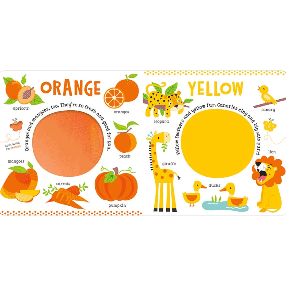 Board Books-Make Believe Ideas My First Book of Colours