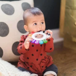 Grasping Toys|Teethers-Baby Einstein Outstanding Opus Sensory Rattle & Teether