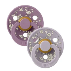 Pacifiers + Clips-Bibs Pacifier (2 Pack)
