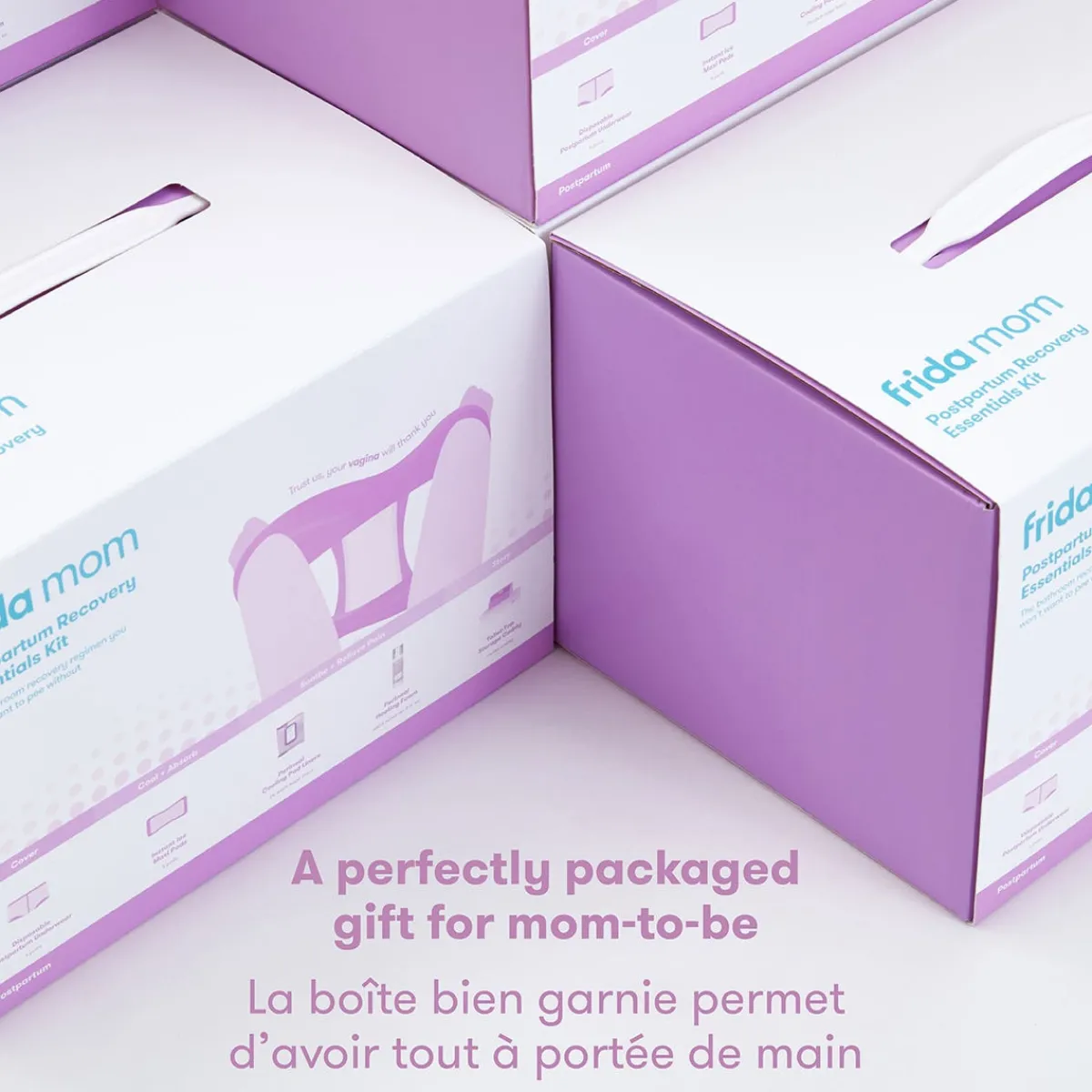 Labour + Post-Partum Kits-Frida Mom Post Partum Recovery Essentials Kit