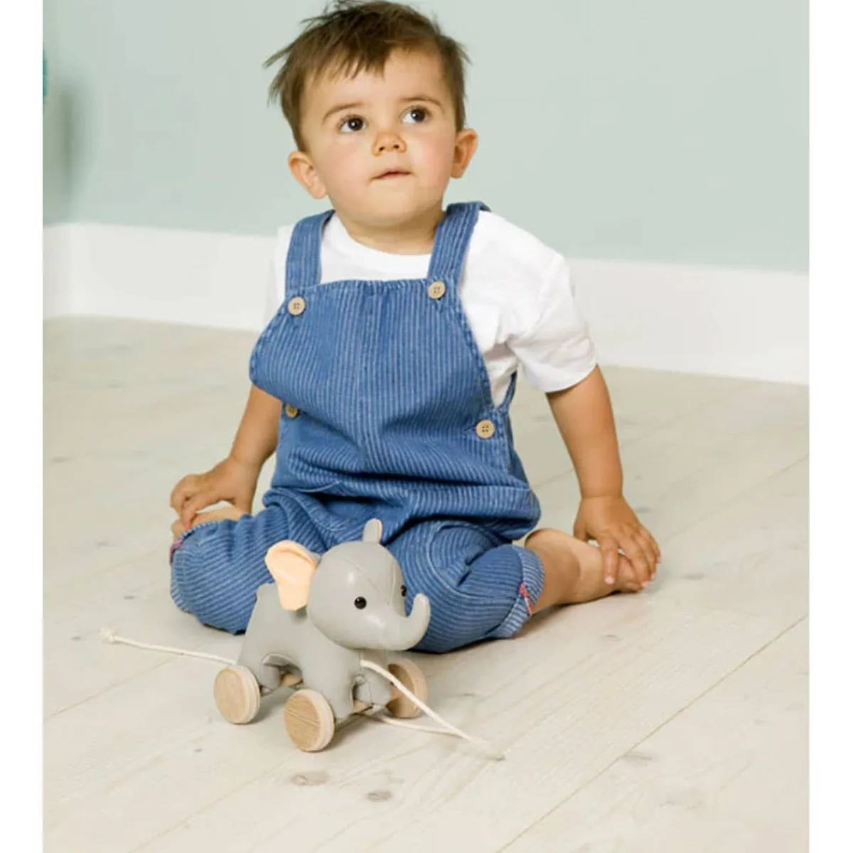 Pull Toys-Little Big Friends Pull Along Friends