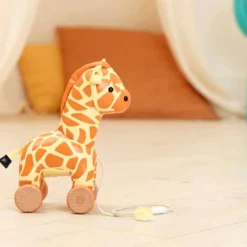 Pull Toys-Little Big Friends Pull Along Friends