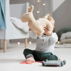 Pull Toys-Done By Deer Pull Along 2-in-1 Toy