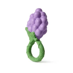 Rattles-Oli & Carol Rattle Toy