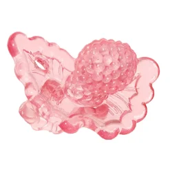 Teethers|Pacifiers + Clips-Razbaby Raz-Berry Teether