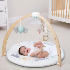 Wooden Toys|Activity Gyms-aden + anais Rising Star Play + Discover Activity Gym