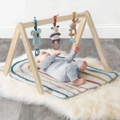 Activity Gyms-Itzy Ritzy Ritzy Activity Gym with Play Mat + Toys