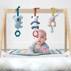 Activity Gyms-Itzy Ritzy Ritzy Activity Gym with Play Mat + Toys