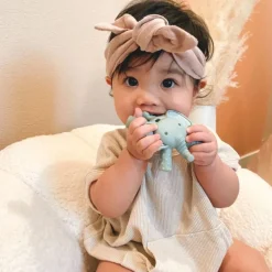 Teethers|Pacifiers + Clips-Itzy Ritzy Ritzy Molar Silicone Teether