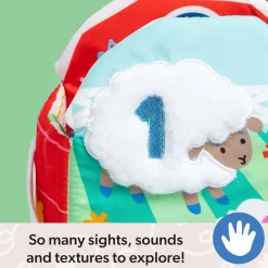 Play + Learn Toys-Ms. Rachel Sensory Learning Farm